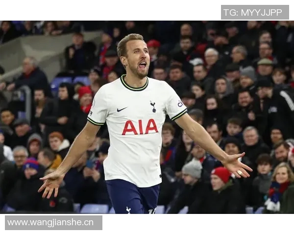 德雷森谈凯恩续约时机合适为他支付更高转会费值得 德雷森谈凯恩续约时机合适为他支付更高转会费值得