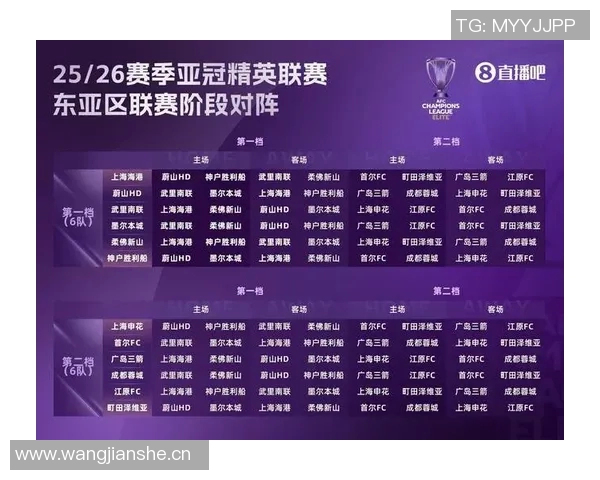 海港队2025中超联赛与亚冠精英联赛11月赛程全解析与展望
