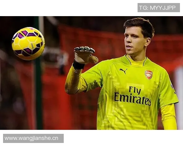 什琴斯尼回忆与温格的隔阂:安于现状的我错失了机会 什琴斯尼回忆与温格的隔阂:安于现状的我错失了机会