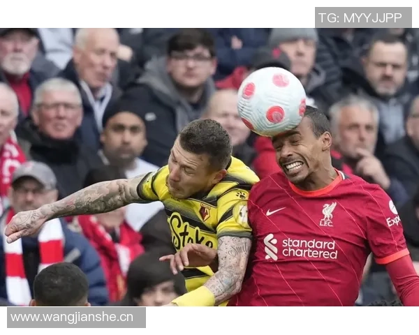 阿利松与戈麦斯意外相撞队医紧急救助后比赛得以继续进行